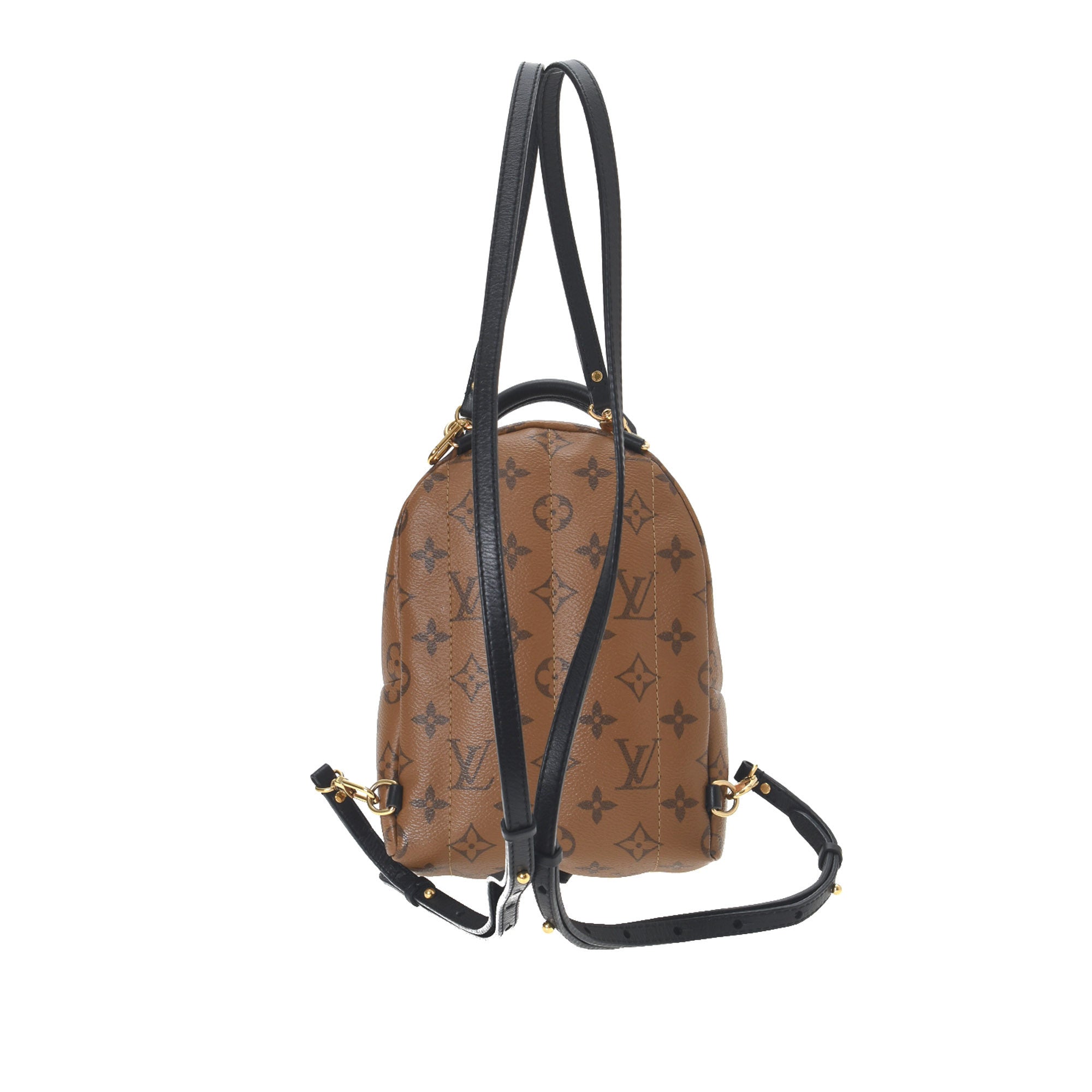 Louis Vuitton Palm Springs Monogram Mini Brown - US