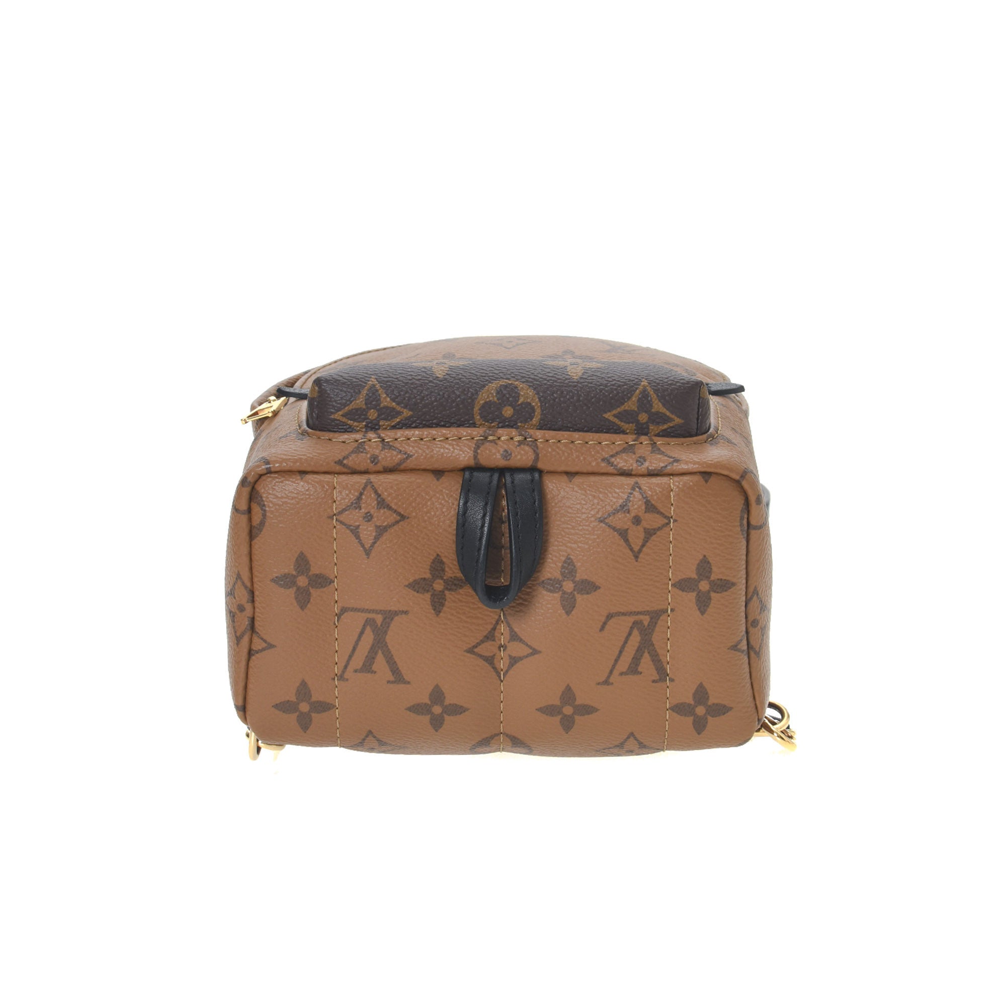 Louis Vuitton Palm Springs Monogram Mini Brown - US