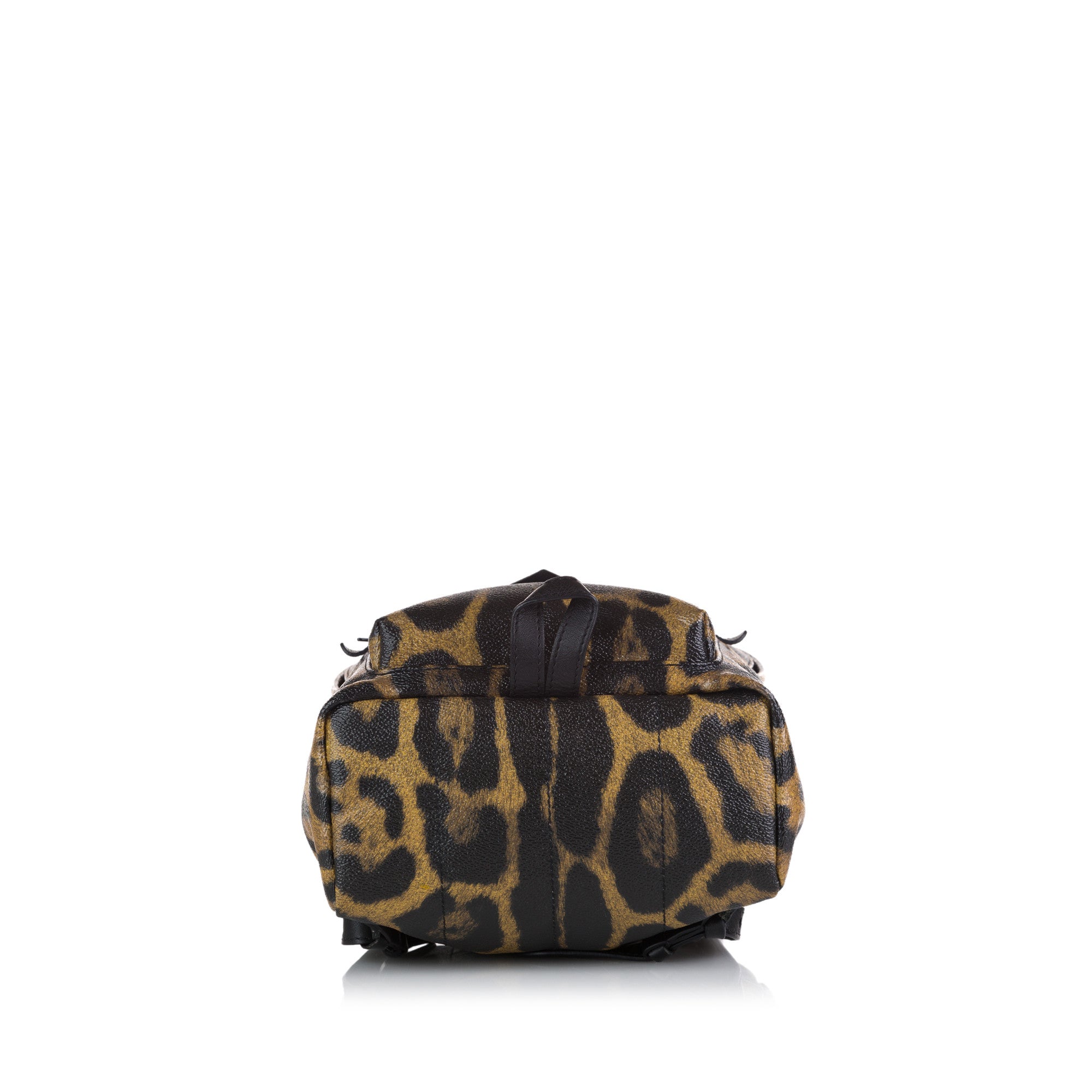 Louis Vuitton Palm Springs PM Wild Animal Canvas