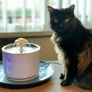 cat water fountain