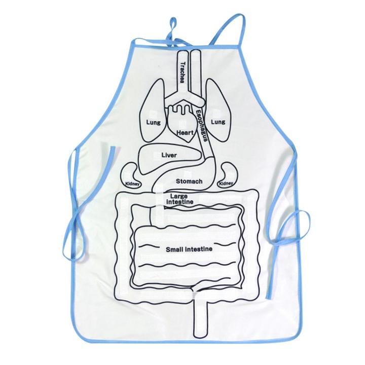 kids anatomy apron