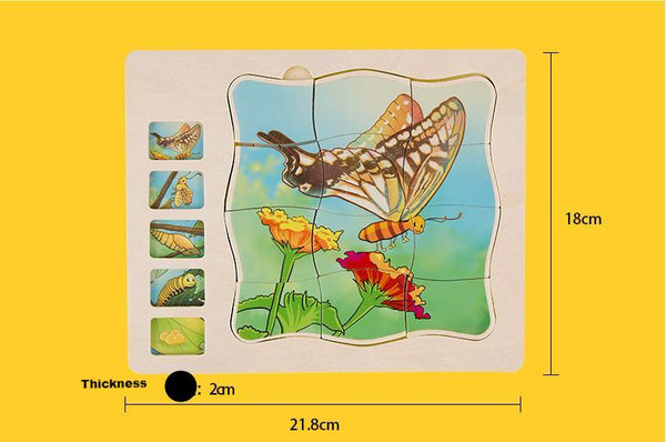 Download Onshine Multi Layered Butterfly Growth Process Wooden ...