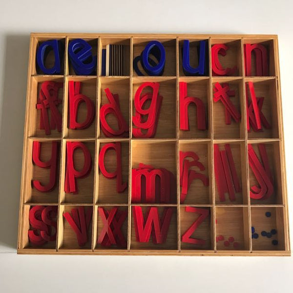 Montessori Large Moveable / Movable Alphabet- LMA - Acrylic ...