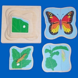 Download Life Cycle Of A Butterfly Layer Wooden Puzzle Righttolearn Com Sg