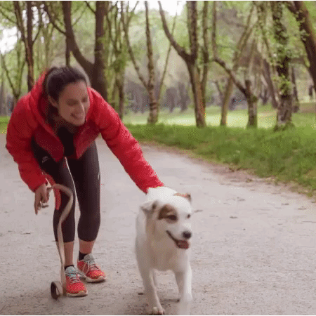 Rastreador para Animais de Estimaçāo – Loja Ibest