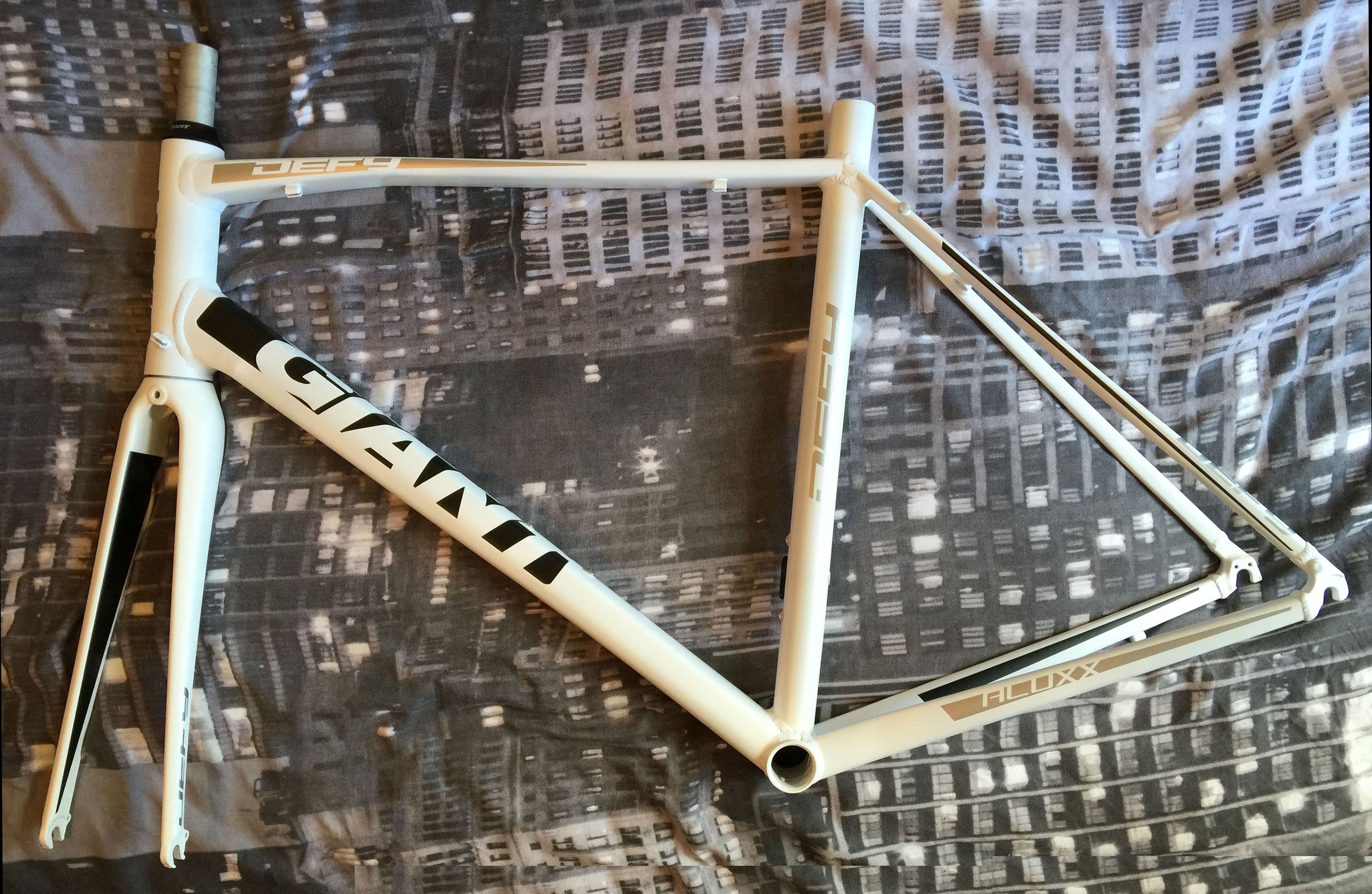 giant defy frame