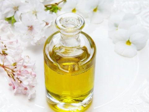 moringa oil