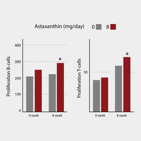 The effect of astaxanthin on immune response was measured in a double blind, randomized study involving 42 subjects. B-cells and T-cells were exposed to high concentrations of mitogens and its capacity to proliferate was measured <sup>1</sup>. (*p<0,05 compared with control)<sup>1</sup>.