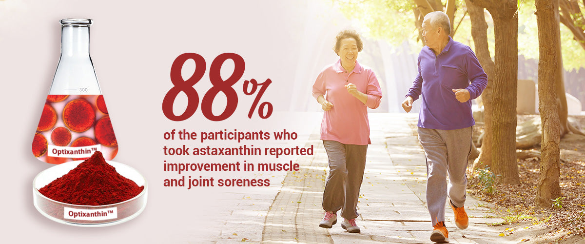 Optixanthin Astaxanthin, 88% of the participants who took astaxanthin reported improvement in muscle and joint soreness