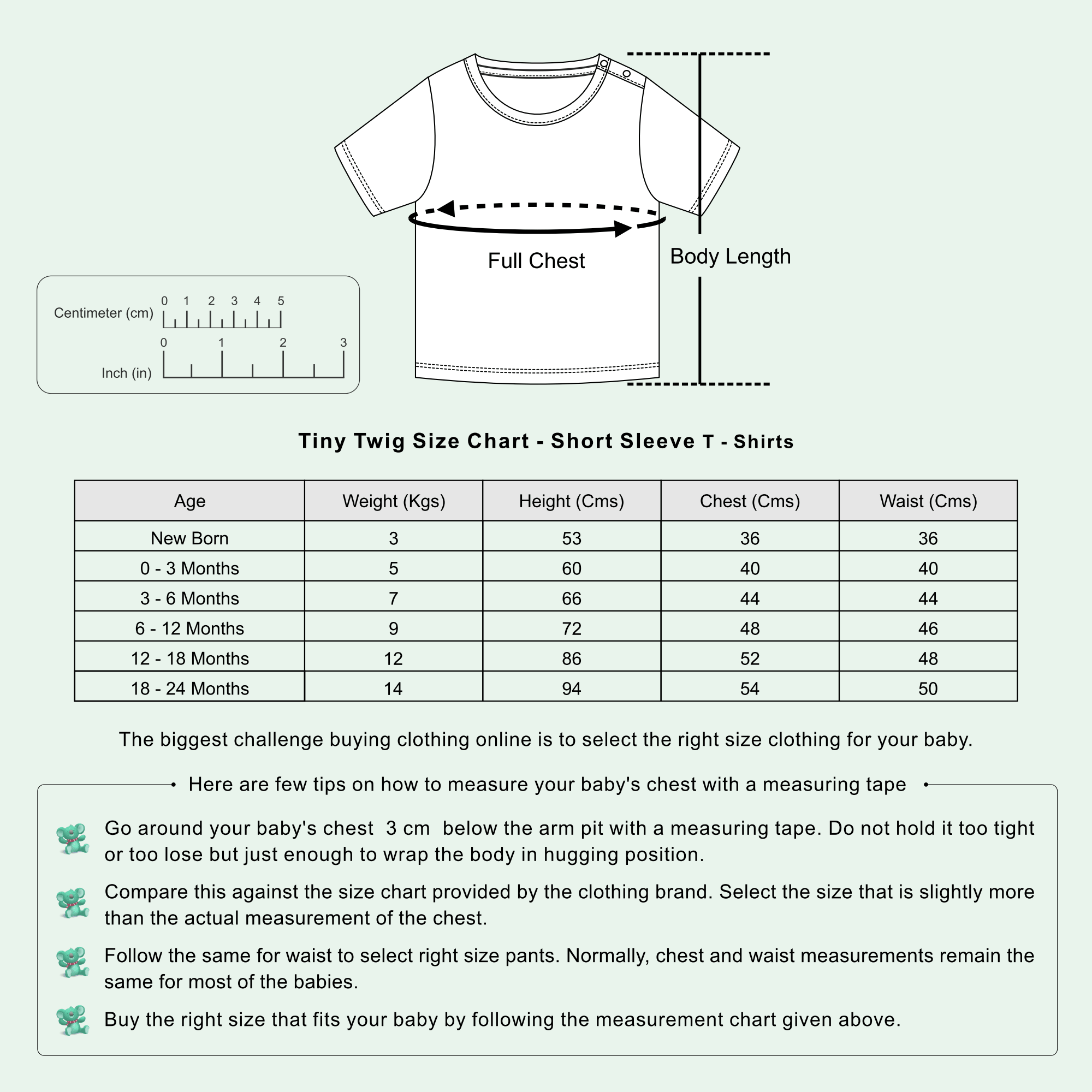 Measurement Chart