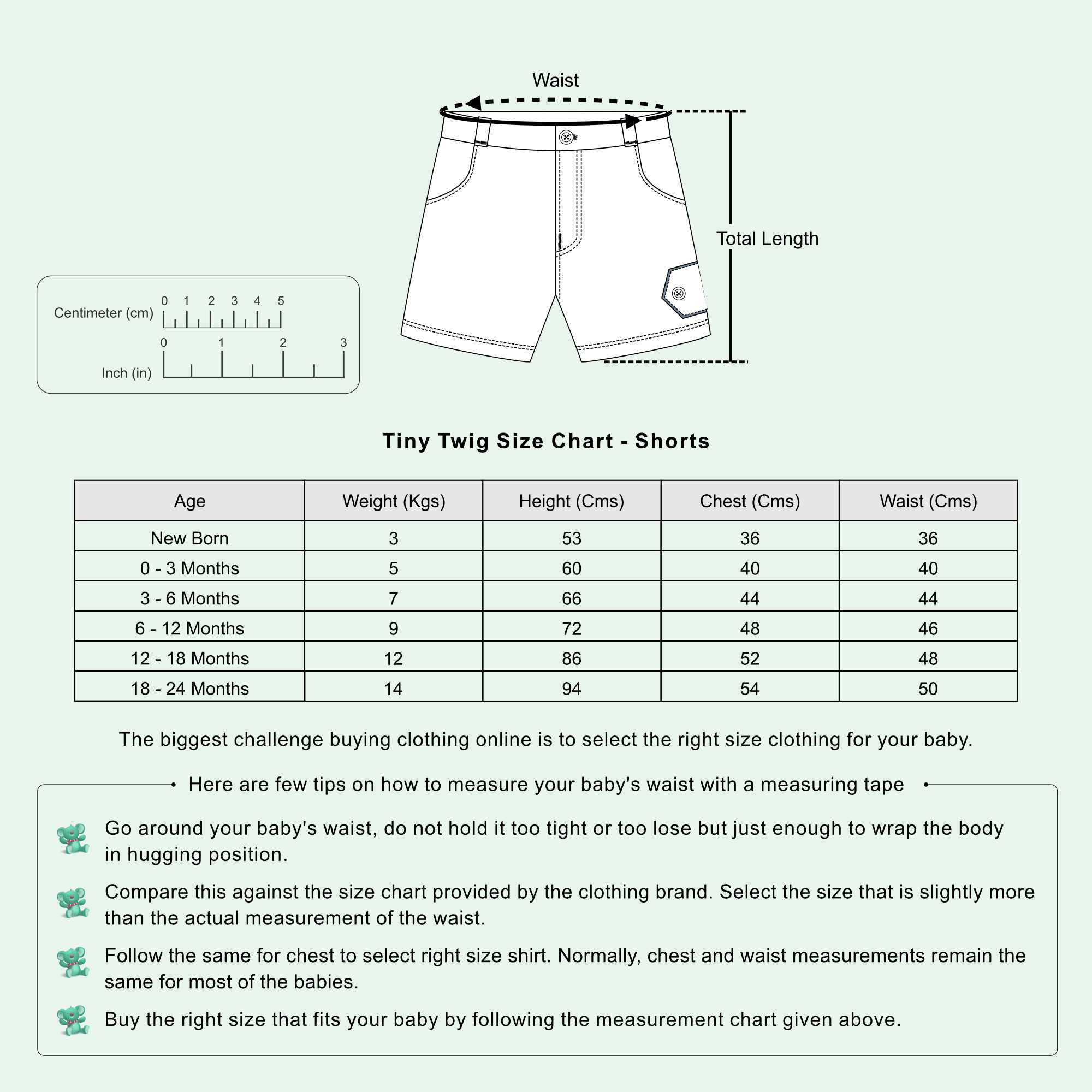 Measurement Chart