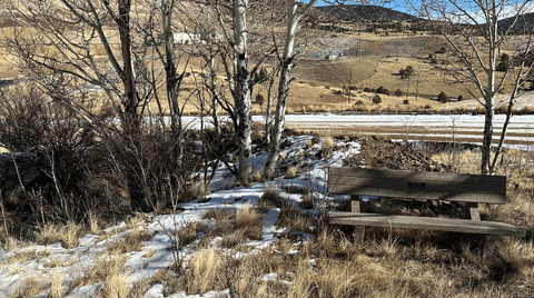 View along American Eagles Mines Trail.