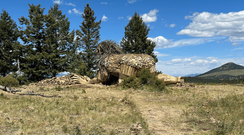 Walking up to the back of Rita, the Rock Planter art installation.