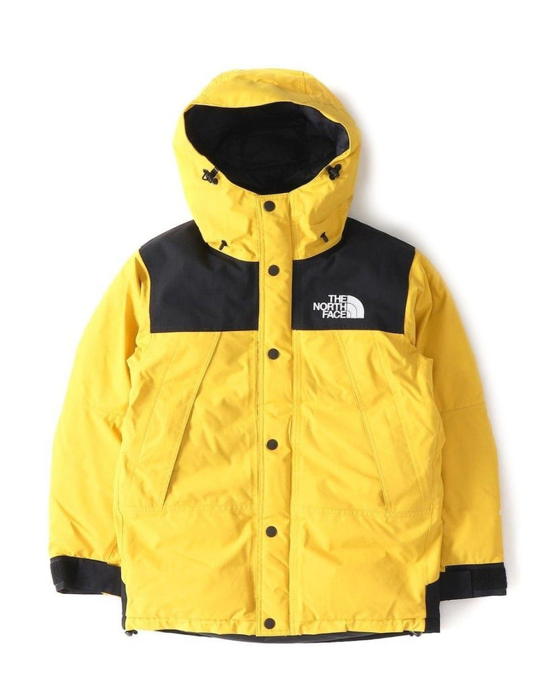 The North Face Men's Mountain Down 
