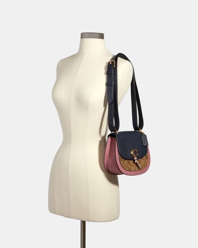 remi saddle bag in colorblock signature canvas