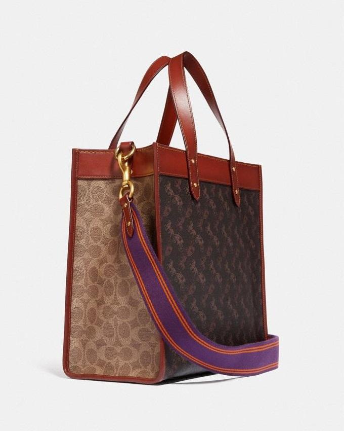 coach big tote