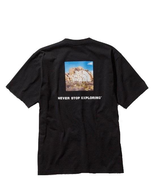 north face joshua tree shirt