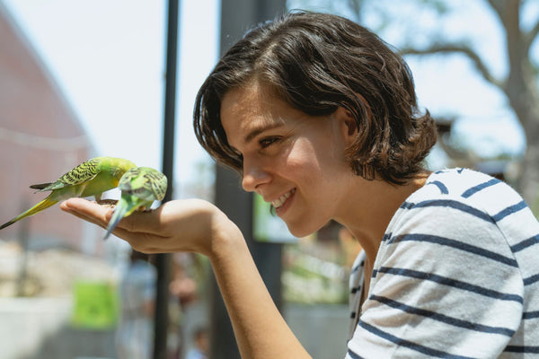 cbd for birds