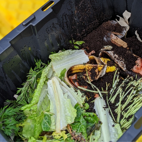 What You Need To Know To Start Composting, Meg Unprocessed
