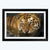 Lion Animal Framed Photography