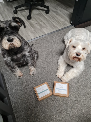 Soy Wax Melts for Dogs