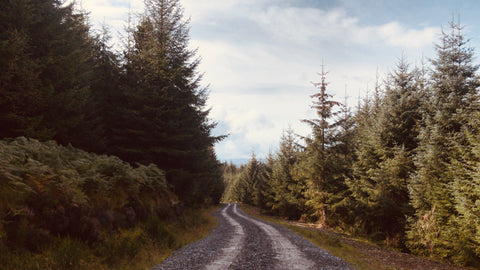 a view of a road