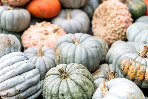 Wonky Pumpkins