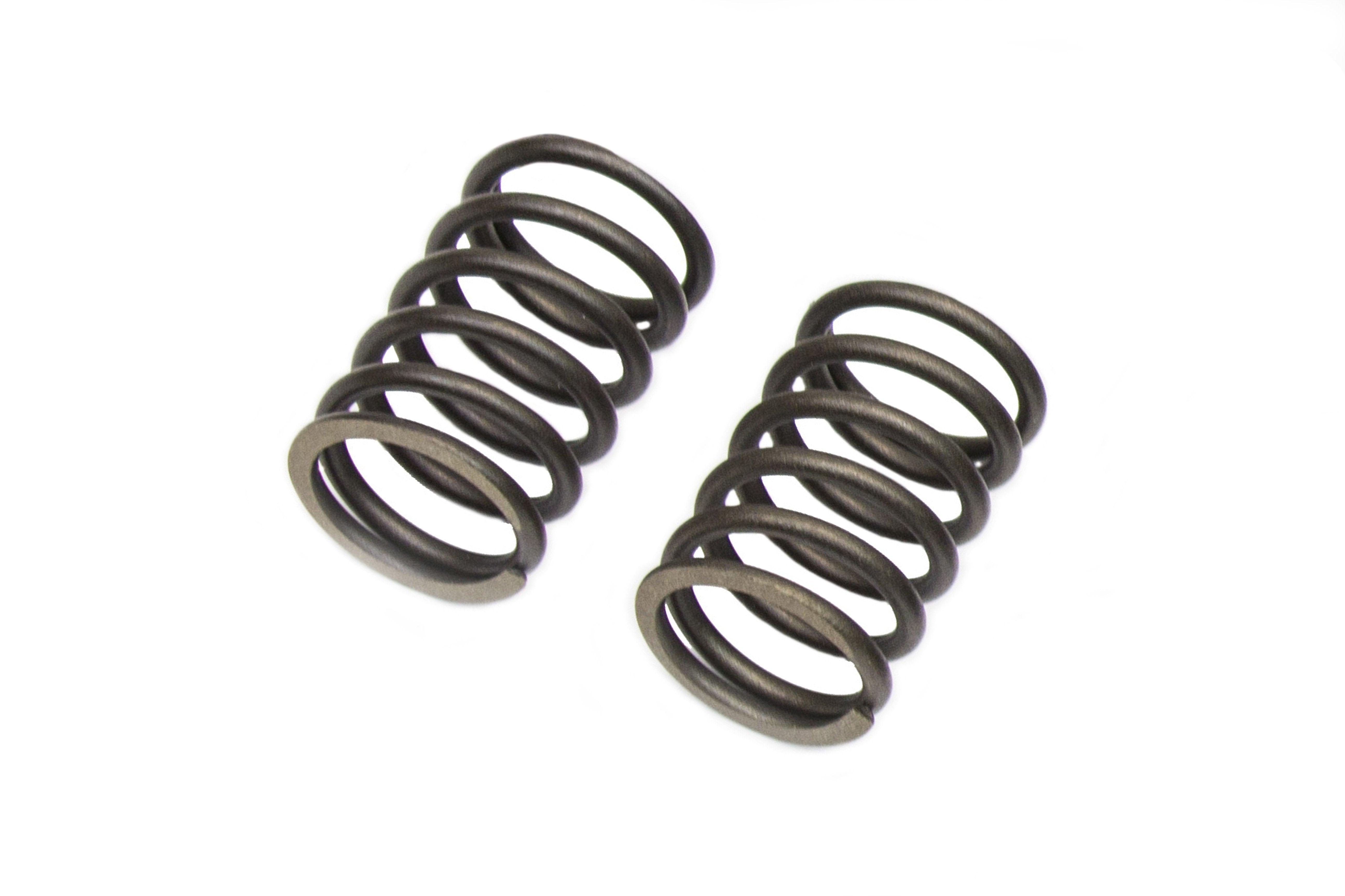 Intake & Exhaust Valve Spring Set fits Harbor Freight Predator