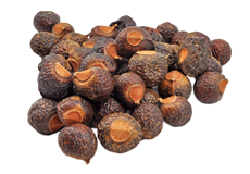 Soapnut 