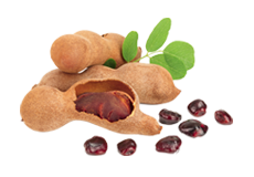 Tamarind