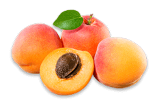 Apricot