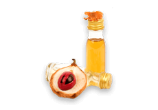 Nutmeg Oil