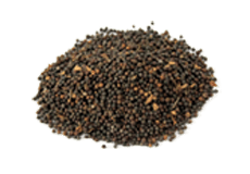 False Black Pepper