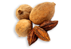 Triphala