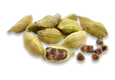 Cardamom