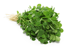 Methi