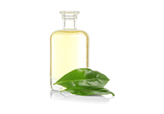 Tea Tree Oil