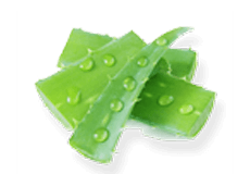 Aloe Vera Extract