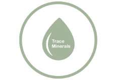 Trace minerals