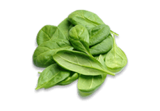 Spinach