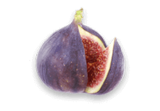 Fig