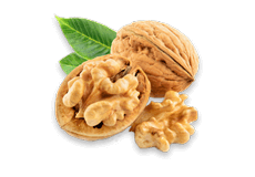 Walnut