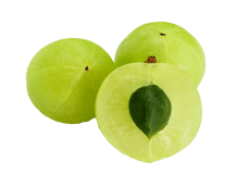 Indian Gooseberry (Amalaki)