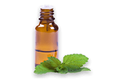 Mint Oil