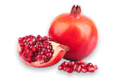 Pomegranate (Punica granatum)