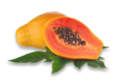 Papaya