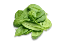 Spinach