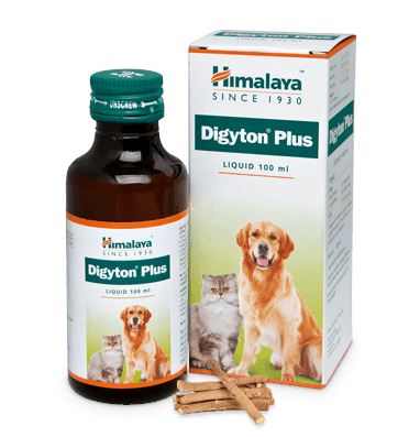 Digyton Plus 100ml