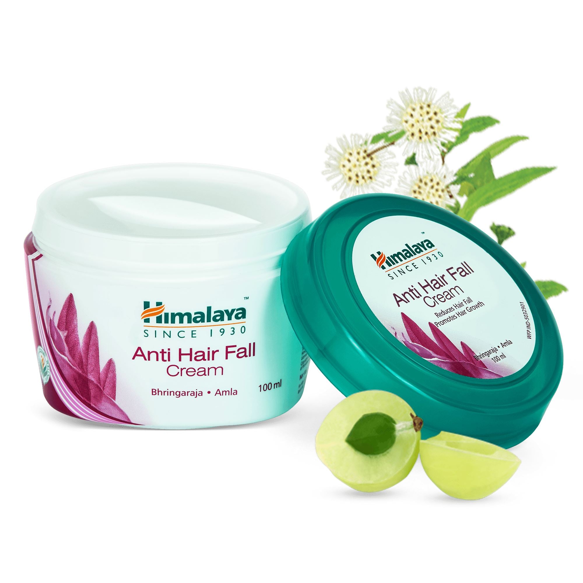 Buy Himalaya Herbals Anti Hair Fall Hair Oil 200ml And Himalaya Herbals  Anti Hair Loss Cream 100ml Online at Low Prices in India  Amazonin