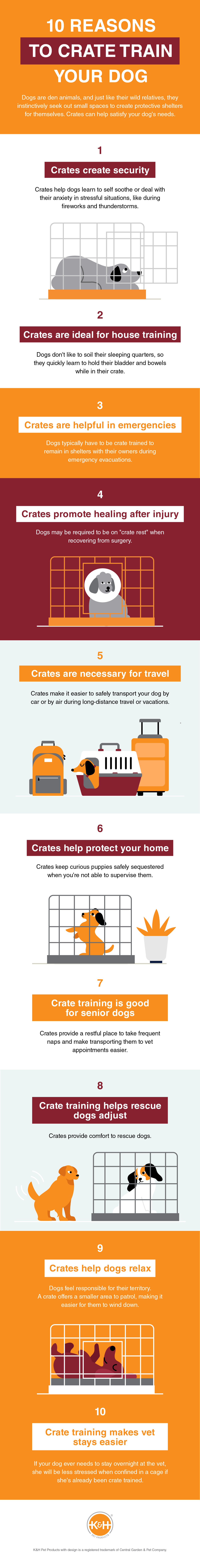 Reasons to crate train your dog include the feeling of security a crate offers your dog, as well as the benefits it serves in the house training process and during an emergency evacuation.